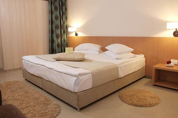 Hotel Sara ネプトゥン エクステリア 写真